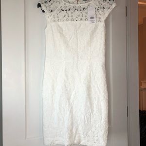 NWT Dorothy Perkins white Lace Dress w Gold zipper detail size 4